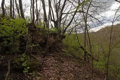 27538 County Road Dd, Richland Center, WI 53581 - Photo 62