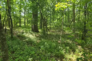 N6219 Sunnyside Rd, Green Lake, WI 54941 - Photo 54