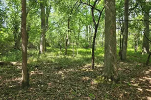 N6219 Sunnyside Rd, Green Lake, WI 54941 - Photo 52
