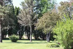 4338 S Schuman Rd, Orfordville, WI 53576 - Photo 50