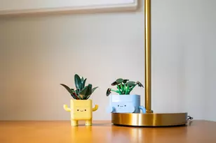 8215 Flagstone Dr, Madison, WI 53719 - Photo 36