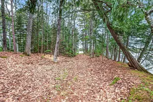 3980 Pedersen Trail, Phelps, WI 54554 - Photo 62