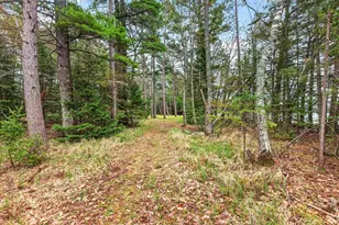 3980 Pedersen Trail, Phelps, WI 54554 - Photo 68