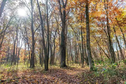 121 Acres County Highway Et, Tomah, WI 54660 - Photo 4