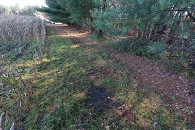 121 Acres County Highway Et, Tomah, WI 54660 - Photo 8