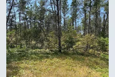36.34 Ac Retirement Lane, Necedah, WI 54646 - Photo 2