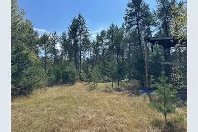 36.34 Ac Retirement Lane, Necedah, WI 54646 - Photo 4