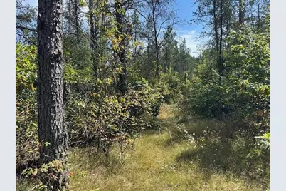 36.34 Ac Retirement Lane, Necedah, WI 54646 - Photo 1