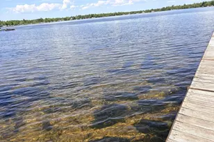 2465 Norway Point Rd, Pelican Lake, WI 54463 - Photo 8