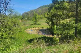 23810 Dove Ln, Hillsboro, WI 54634 - Photo 14