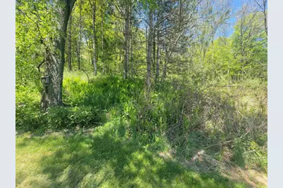23810 Dove Lane, Hillsboro, WI 54634 - Photo 54