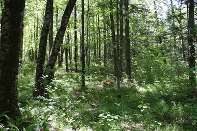 N11465 W Circle Drive, Tripoli, WI 54564 - Photo 26