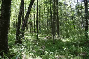 N11465 W Circle Dr, Tripoli, WI 54564 - Photo 26
