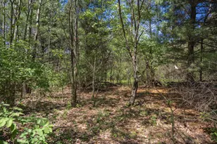 1084 Edgewood Dr, Adams, WI 53910 - Photo 42