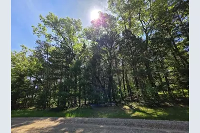Lot 4 Czech Court, Friendship, WI 53934 - Photo 4