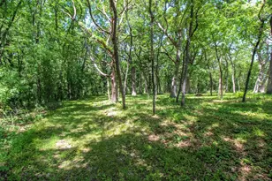 W9650 Rucks Rd, Cambridge, WI 53523 - Photo 86