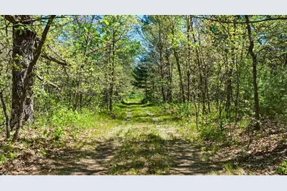 40+/- Acres Highway 13, Friendship, WI 53934 - Photo 10