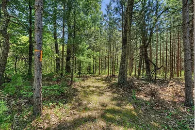 40+/- Acres Highway 13, Friendship, WI 53934 - Photo 12