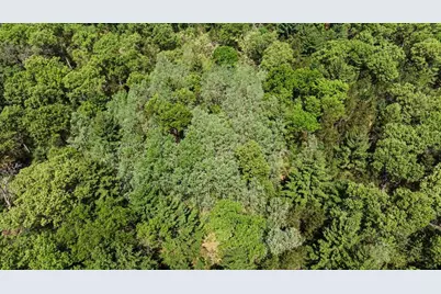 40+/- Acres Highway 13, Friendship, WI 53934 - Photo 26