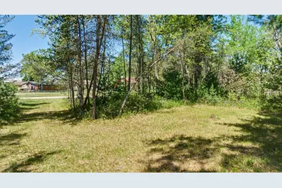 40+/- Acres Highway 13, Friendship, WI 53934 - Photo 8