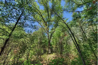 40+/- Acres Highway 13, Friendship, WI 53934 - Photo 34