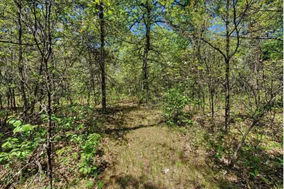 40+/- Acres Highway 13, Friendship, WI 53934 - Photo 42