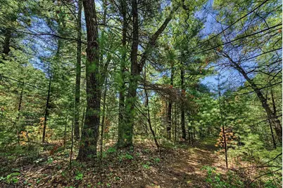 40+/- Acres Highway 13, Friendship, WI 53934 - Photo 20