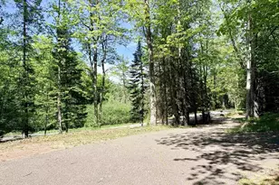 6187 Journeys End Rd, Rhinelander, WI 54501 - Photo 28
