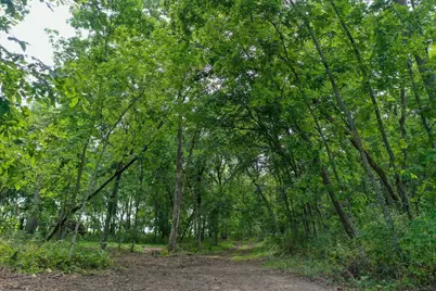 Lot 4 County Road Jg, Mount Horeb, WI 53572 - Photo 4
