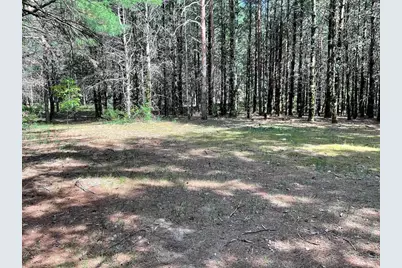 5.7 Acres Browndeer Avenue, Friendship, WI 53934 - Photo 6