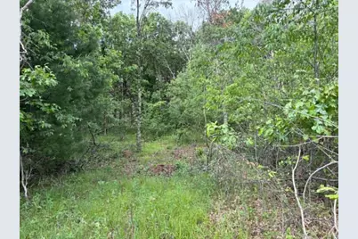 Lot 13 19th Boulevard, Friendship, WI 53934 - Photo 14
