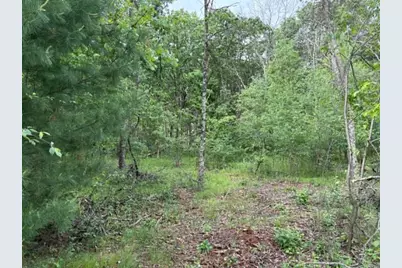 Lot 13 19th Boulevard, Friendship, WI 53934 - Photo 2