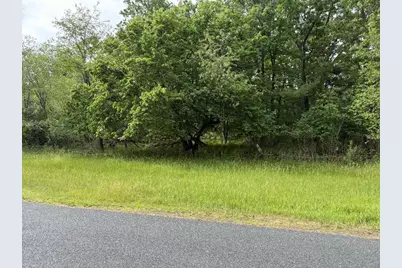 Lot 13 19th Boulevard, Friendship, WI 53934 - Photo 4