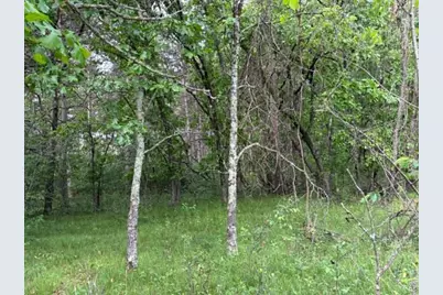 Lot 13 19th Boulevard, Friendship, WI 53934 - Photo 16