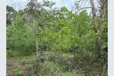 Lot 13 19th Boulevard, Friendship, WI 53934 - Photo 12
