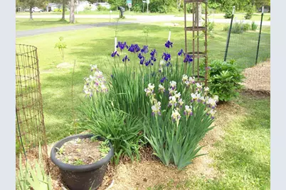 W6052 County Road D Road, Montello, WI 53949 - Photo 34