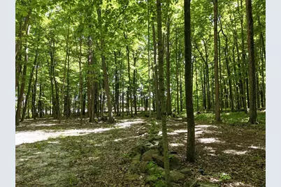 11.34 Acres Forest Road, Plymouth, WI 53073 - Photo 26