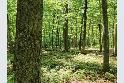 11.34 Acres Forest Road, Plymouth, WI 53073 - Photo 10