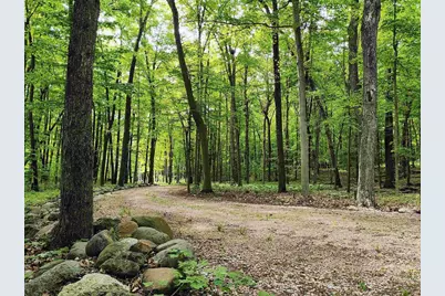 11.34 Acres Forest Road, Plymouth, WI 53073 - Photo 1