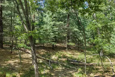 N4755 County Rd Hh, Mauston, WI 53948 - Photo 52
