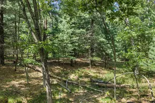 N4755 County Rd HH, Mauston, WI 53948 - Photo 52