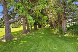 W6231 Co Rd K, Arlington, WI 53911 - Photo 24