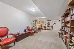 7746 Maas Dr, Verona, WI 53593 - Photo 46