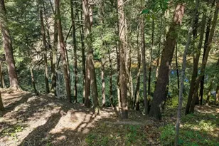283 Alcan Dr, Lake Delton, WI 53913 - Photo 46