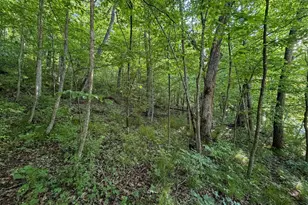 S6073 Sidie Hollow Rd, Viroqua, WI 54665 - Photo 32