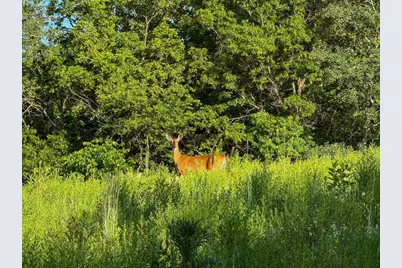 S6073 Sidie Hollow Road, Viroqua, WI 54665 - Photo 34