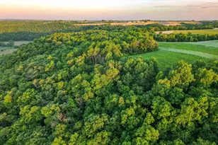 S6073 Sidie Hollow Rd, Viroqua, WI 54665 - Photo 6