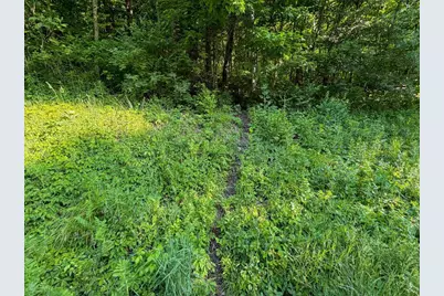 S6073 Sidie Hollow Road, Viroqua, WI 54665 - Photo 40