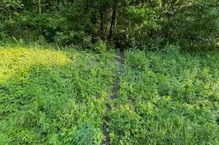 S6073 Sidie Hollow Rd, Viroqua, WI 54665 - Photo 40
