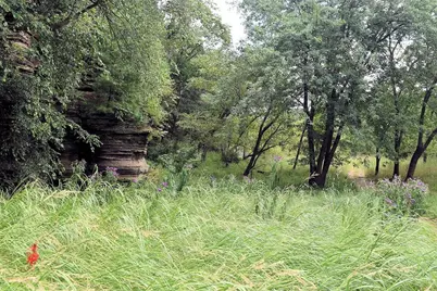 55 Bowman Road #311, Wisconsin Dells, WI 53965 - Photo 82